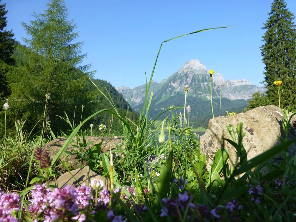 Berghotel Obersee Нефельс Экстерьер фото