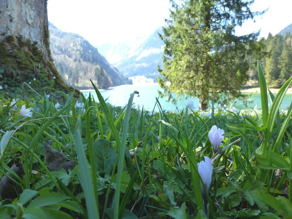 Berghotel Obersee Нефельс Экстерьер фото