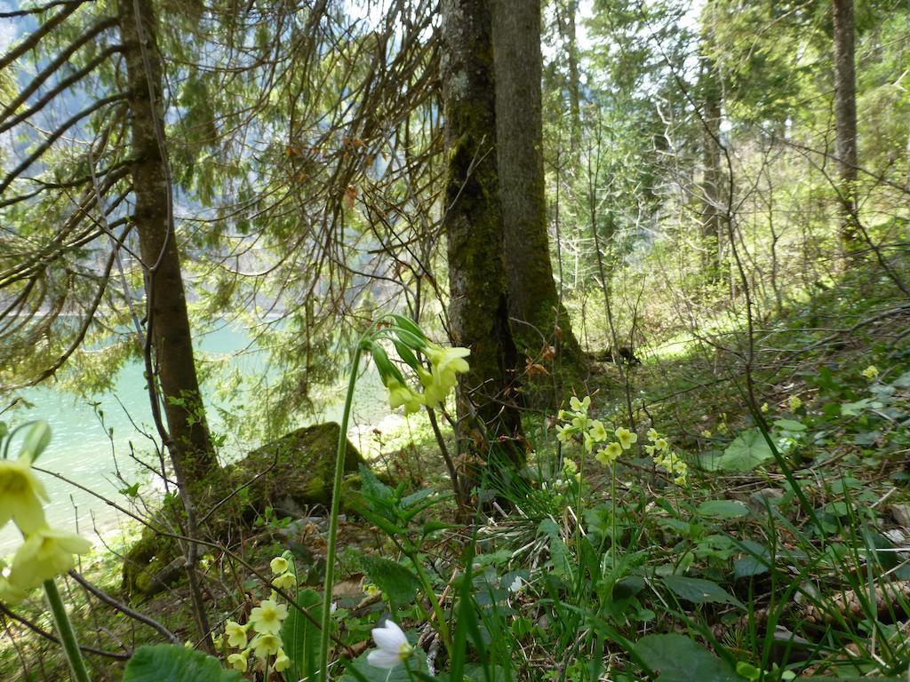 Berghotel Obersee Нефельс Экстерьер фото