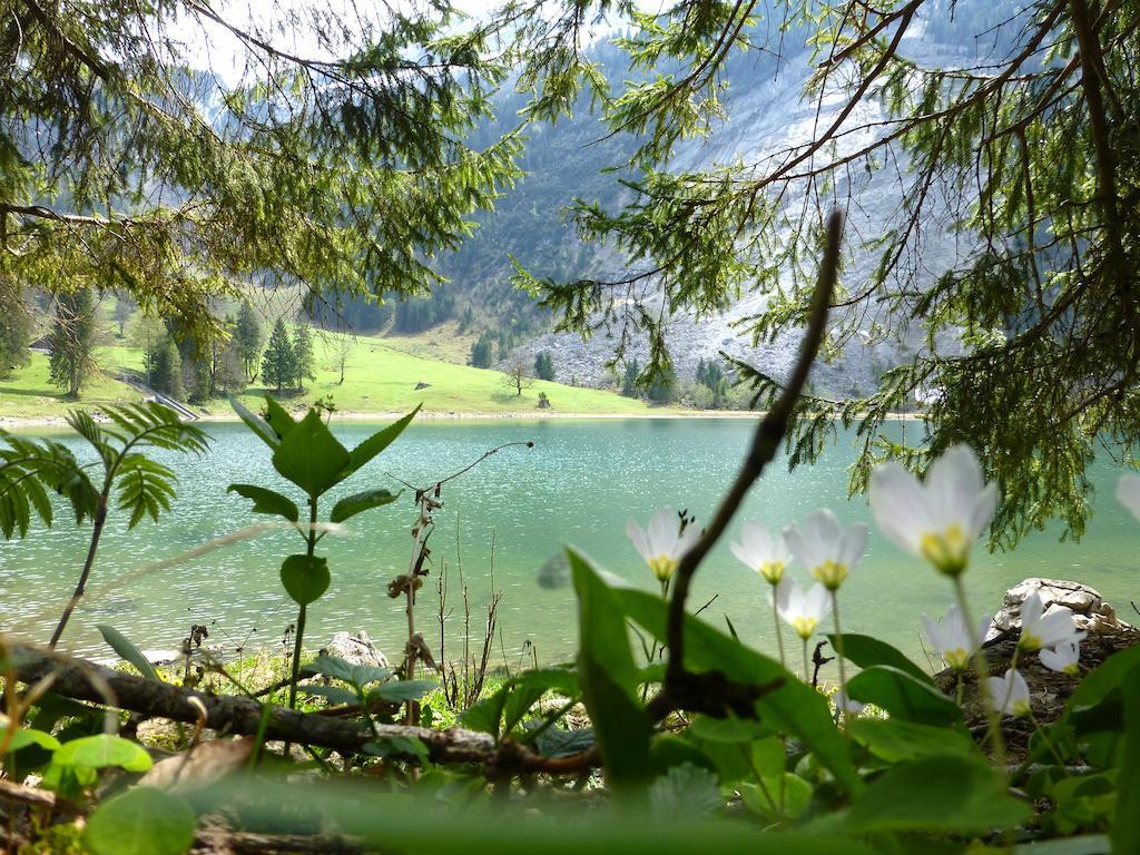Berghotel Obersee Нефельс Экстерьер фото