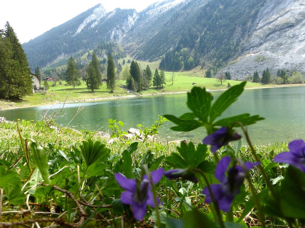 Berghotel Obersee Нефельс Экстерьер фото