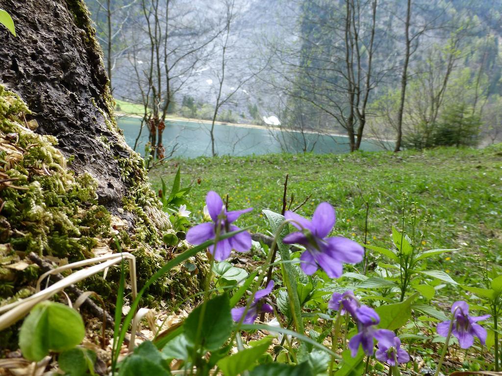 Berghotel Obersee Нефельс Экстерьер фото