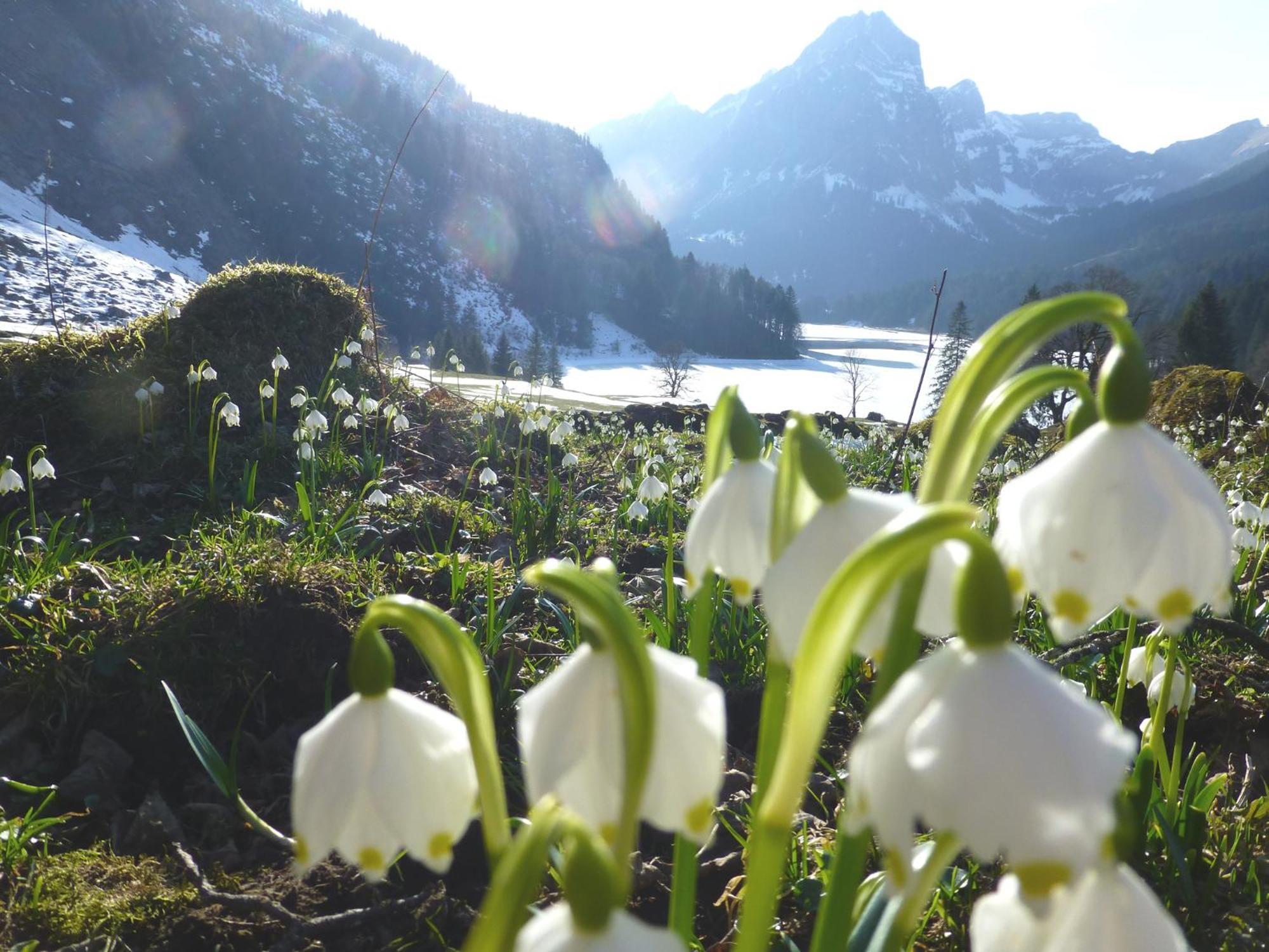 Berghotel Obersee Нефельс Экстерьер фото