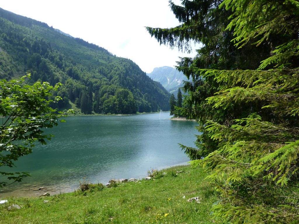 Berghotel Obersee Нефельс Экстерьер фото