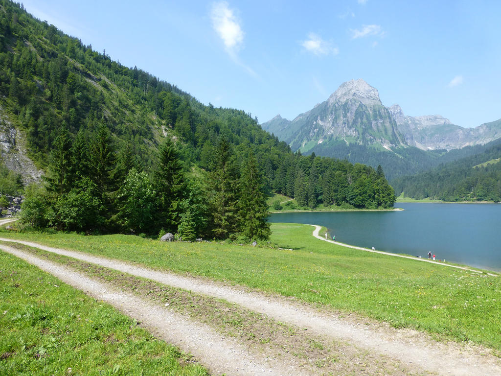 Berghotel Obersee Нефельс Экстерьер фото