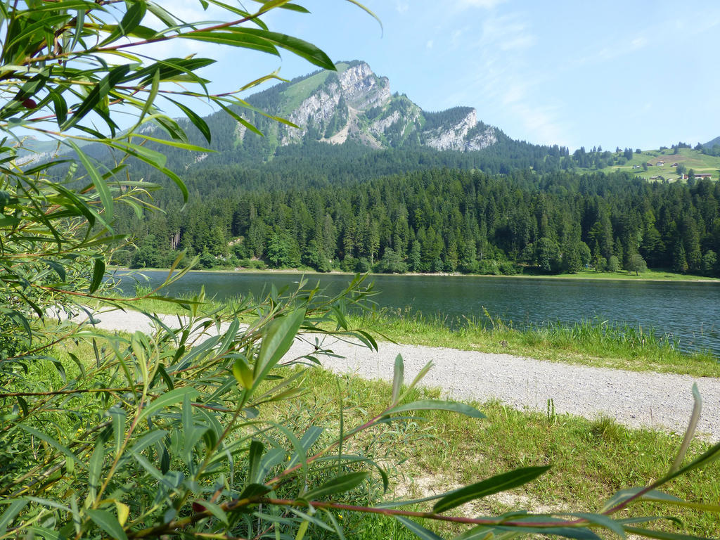 Berghotel Obersee Нефельс Экстерьер фото