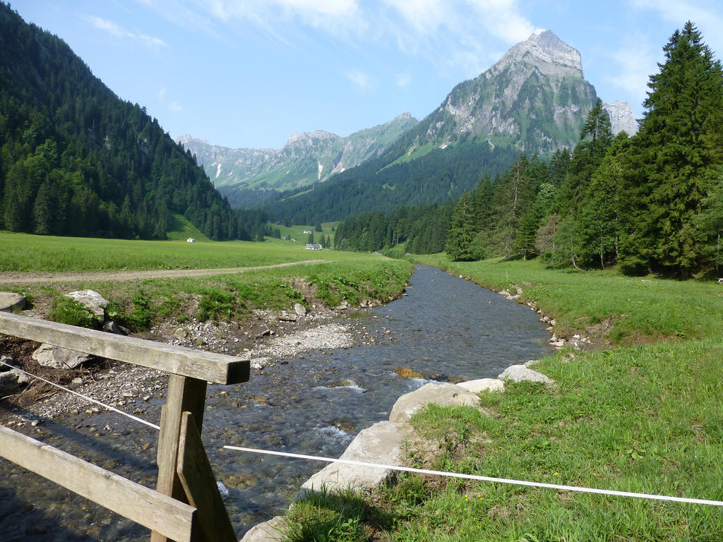 Berghotel Obersee Нефельс Экстерьер фото