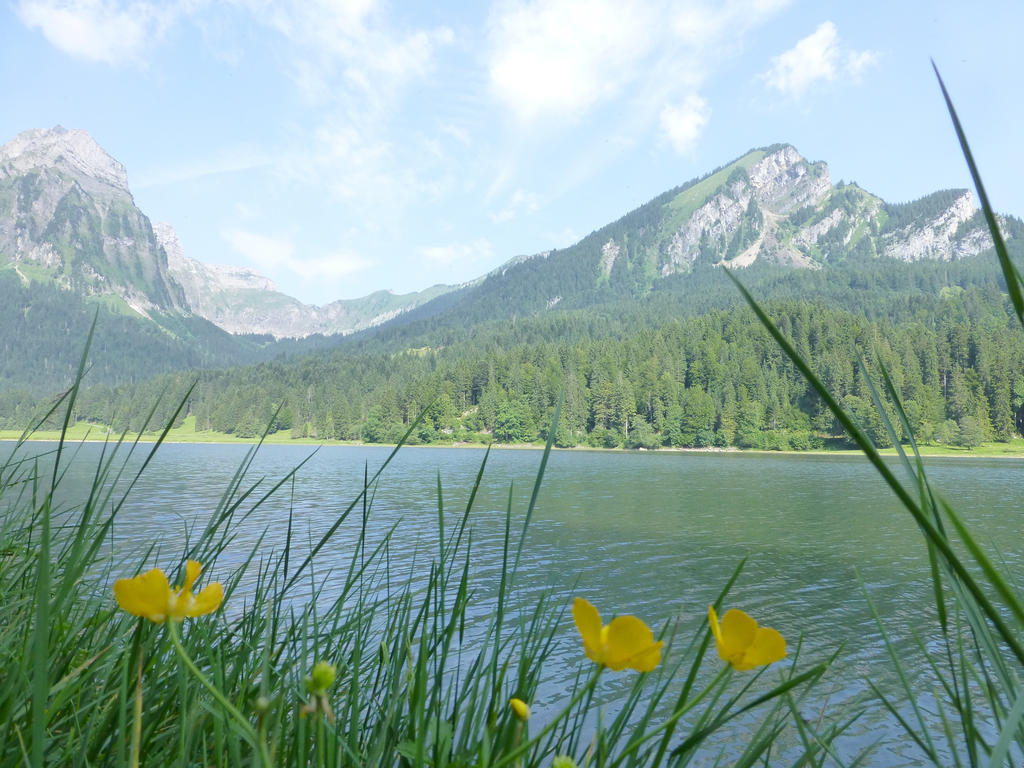 Berghotel Obersee Нефельс Экстерьер фото