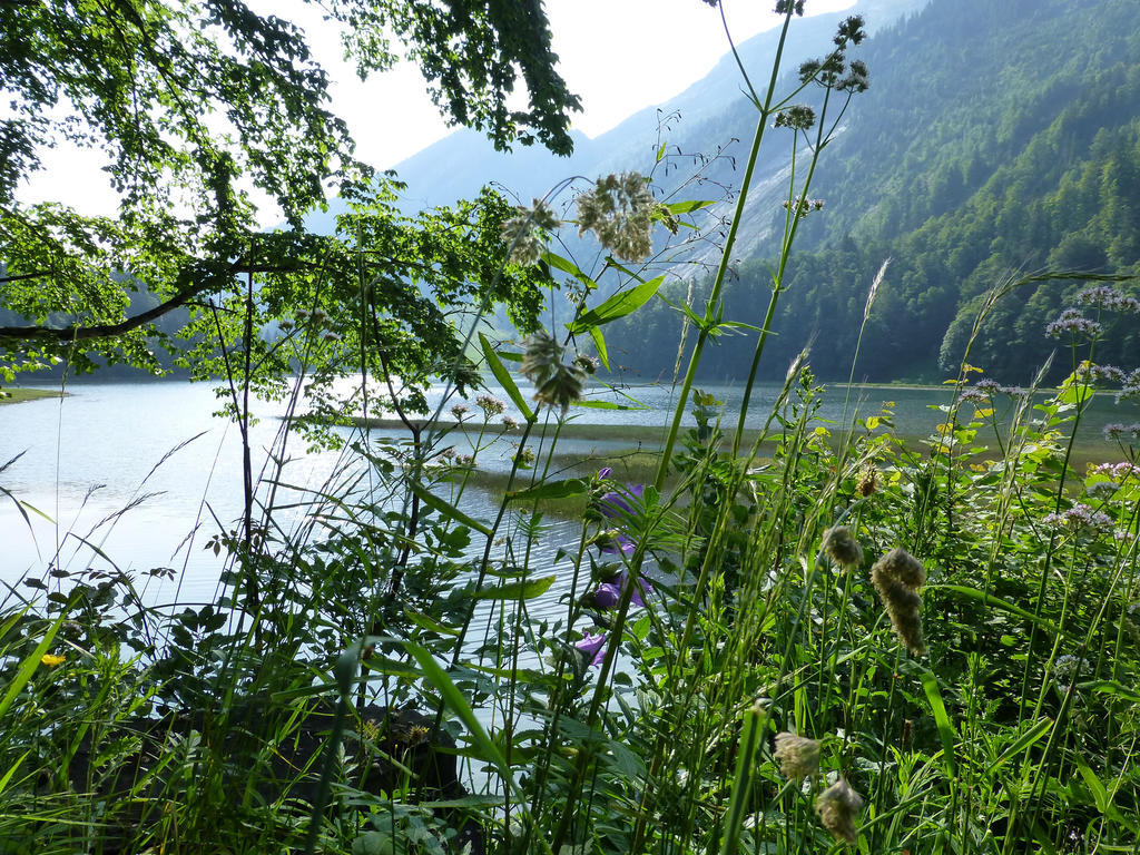 Berghotel Obersee Нефельс Экстерьер фото