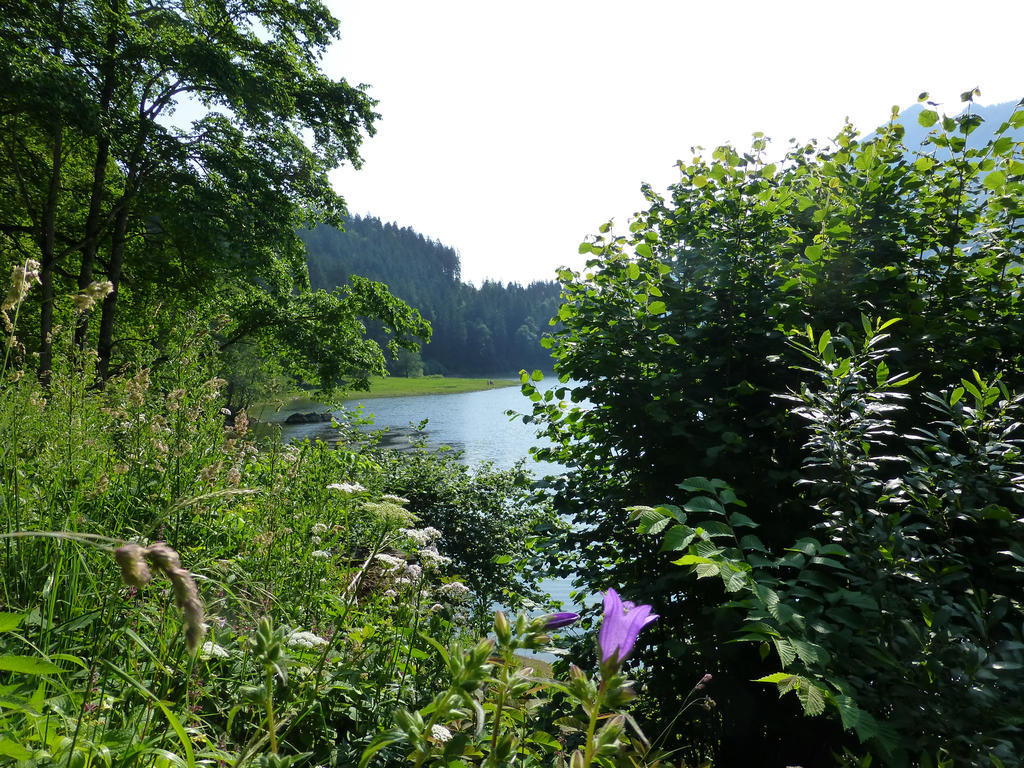 Berghotel Obersee Нефельс Экстерьер фото