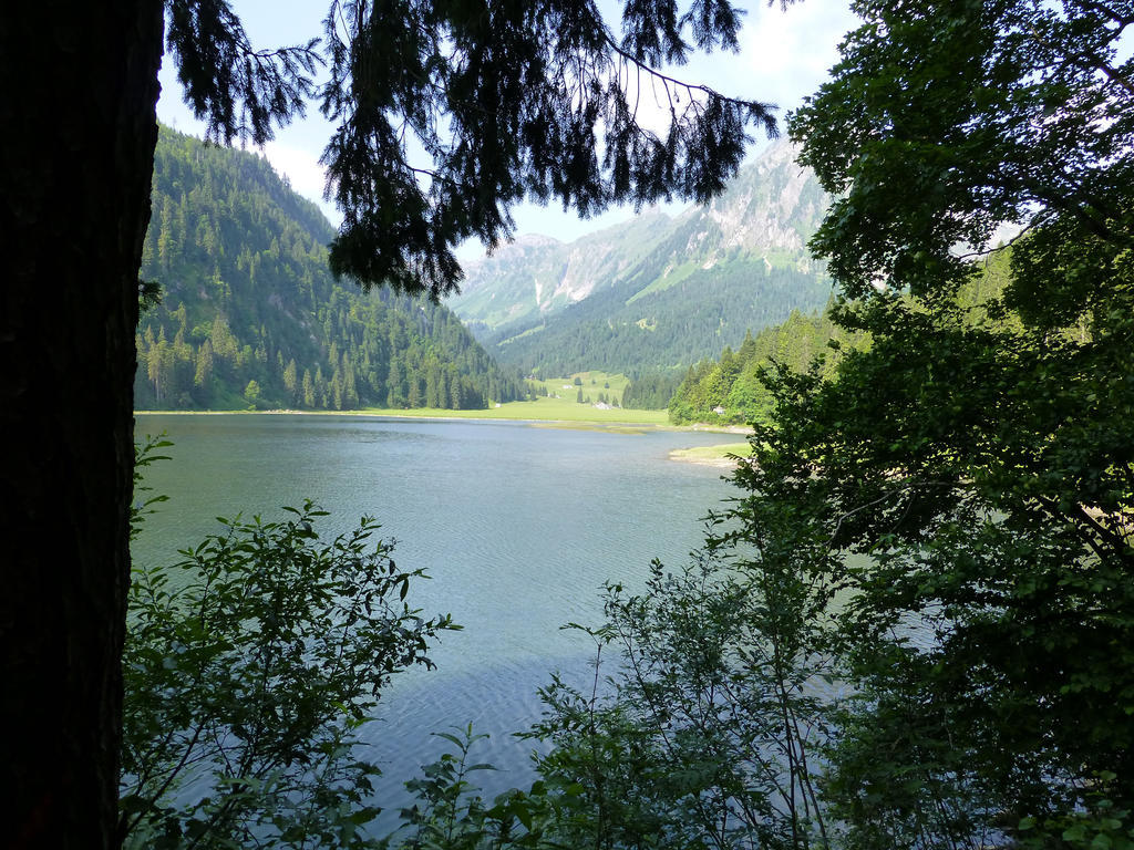 Berghotel Obersee Нефельс Экстерьер фото