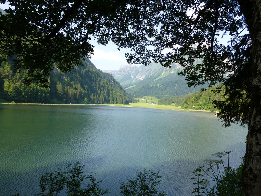 Berghotel Obersee Нефельс Экстерьер фото